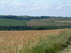 Rolling landscape of the Departement de la Somme.