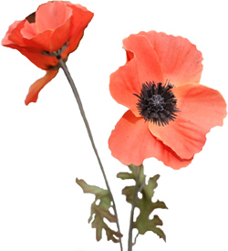 Two artificial poppies