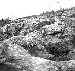 Shell craters in the WW1 landscape.
