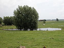 A farm pond created by a shell crater.