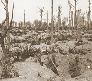 German soldiers in trenches in a shattered wood on the Ypres Salient battlefield, 1915.