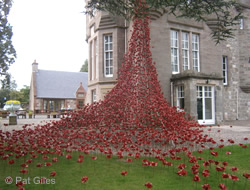 Weeping Window, Black Watch Museum, Perth, Scotland Weeping Window, Black Watch Museum, Perth, Scotland