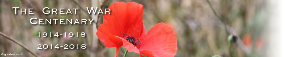 Poppy on the WW1 battlefields.