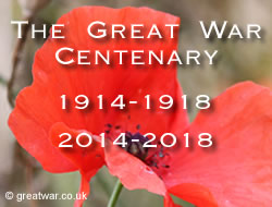 Centenary image
