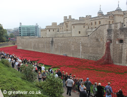 Ceramic poppy installation at the Tower of London in November 2014