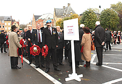 Members of the public gather for The Poppy Parade.