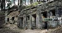 Remains of German bunkers built into the side of the Hartmannsweilerkopf mountain, the Vosges