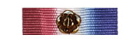 The Silver Heraldic Rose worn on a 1914 Star ribbon