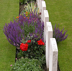 Graves and summer flowers at Tyne Cot cemetery, Passchendaele in the Ypres Salient battlefield.