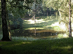Caterpillar crater at Zillebeke.