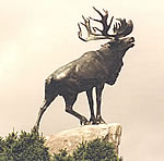 Newfoundland Memorial Caribou