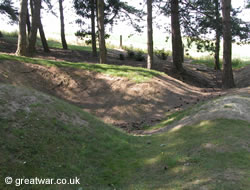 Cratered ground at Sheffield Memorial Park, Somme battlefields.