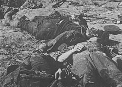 Battlefield casualties of the 1914-1918 war.