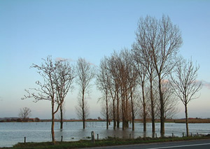 The low-lying polder landscape of West Flanders.