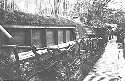 German trenches constructed in Bernafay Wood (Bayernwaldchen) on the 1915 Somme battlefield.