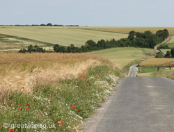 Le Hamel near the Somme River.