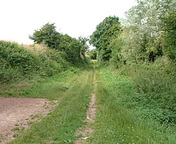 The Sunken Lane near Beaumont-Hamel.