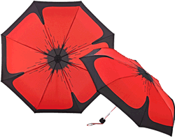 Click to visit our Poppy Umbrella website at rembrella.co.uk