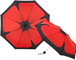 The Poppy Umbrella The Poppy Umbrella