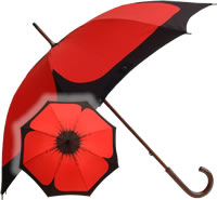 The Poppy Umbrella