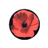 Poppy Post Card