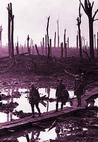 Australian troops in Chateau Wood, Ypres 1917, Belgium (IWM)