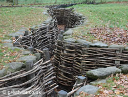 German original trench system at Bayernwald