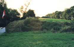Spoilbank of the western canal bank.
