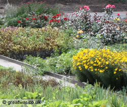 Plant nursery at Lijssenthoek Military Cemetery.