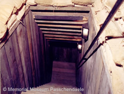 Steps to the replica dugout