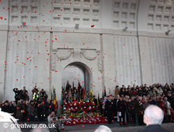 Poppy petals during the 11 November ceremony.