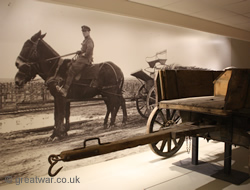 Mules with a wagon in the museum gallery.