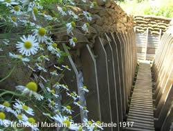 Trench at Memorial Museum Passchendaele 1917