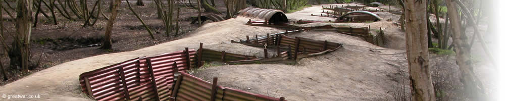 Trench remains in Sanctuary Wood near Ypres on the Ypres Salient battlefields.