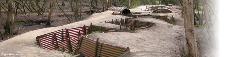 Trench remains in Sanctuary Wood near Ypres on the Ypres Salient battlefields.